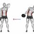 Dumbbell Side Lying One Hand Raise