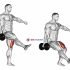 Dumbbell Squat (back on stability ball wall)