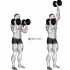 Dumbbell Standing Alternate Raise