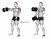 Dumbbell Standing Alternate Raise