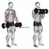 Dumbbell Standing Alternate Raise