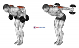 Dumbbell Standing Kickback