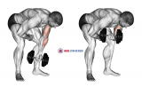 Dumbbell Standing One Arm Concentration Curl