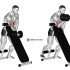 Dumbbell Standing One Arm Concentration Curl