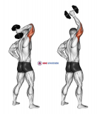 Dumbbell Standing One Arm Extension