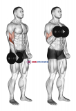 Dumbbell Standing One Arm Reverse Curl