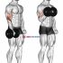 Dumbbell Standing Overhead Press