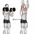 Dumbbell Standing Preacher Curl