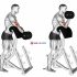Dumbbell Standing Palms In Press