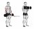 Dumbbell Standing Reverse Curl