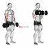 Dumbbell Standing Triceps Extension