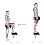 Dumbbell Step-up
