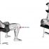 Dumbbell Stiff Leg Deadlift