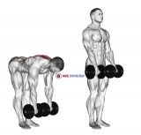 Dumbbell Straight Leg Deadlift