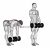 Dumbbell Straight Leg Deadlift