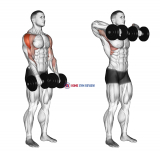 Dumbbell Upright Row