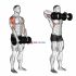 Exercise Ball Back Extension With Knees Off Ground