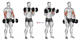 Dumbbell Zottman Curl