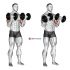 Dumbbell Reverse Grip Incline Bench One Arm Row