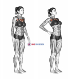 Elbows Back Stretch