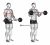 EZ Barbell Curl