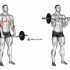 Barbell Reverse Grip Incline Bench Row