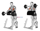 EZ Barbell Spider Curl