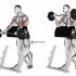 EZ Barbell Seated Triceps Extension