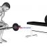 EZ Barbell Spider Curl