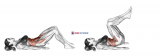 Hip Crunch (knees bent)