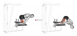 Inverse Leg Curl (bench support)