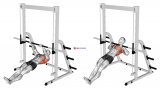 Inverted Row