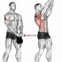 Kettlebell Plyo Push-up