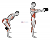 Kettlebell Swing