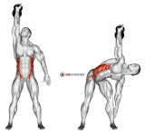 Kettlebell Windmill