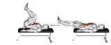 Leg Pull In Flat Bench
