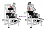 Lever Back Extension