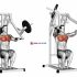 Lever Chest Press