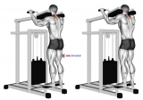 Lever Gripless Shrug