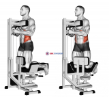 Lever Kneeling Twist