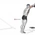 Lever One Arm Bent over Row (plate loaded)