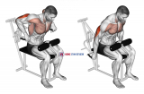 Lever Overhand Triceps Dip