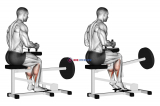 Lever Seated Calf Raise (plate loaded)