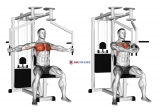 Lever Seated Fly