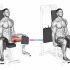 Lever Seated Hip Abduction