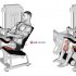 Lever Seated Leg Raise Crunch (plate loaded)