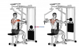 Lever Seated Reverse Fly (parallel grip)