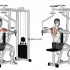 Lever Seated Leg Raise Crunch (plate loaded)