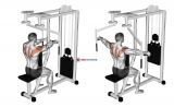 Lever Seated Reverse Fly