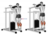Lever Standing Calf Raise